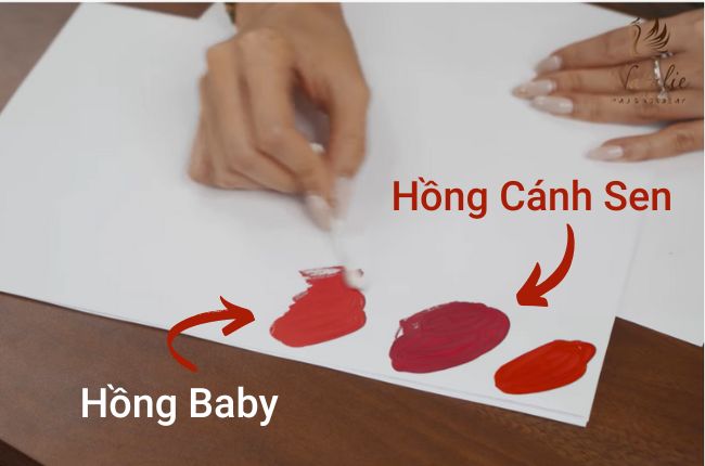mix-muc-phun-moi-mau-hong-canh-sen