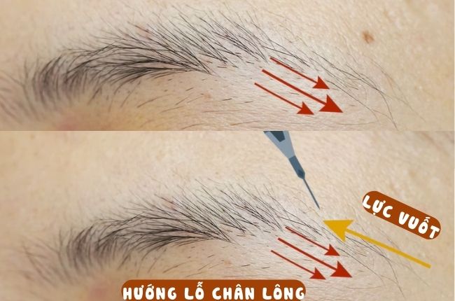 huong-lo-chan-long