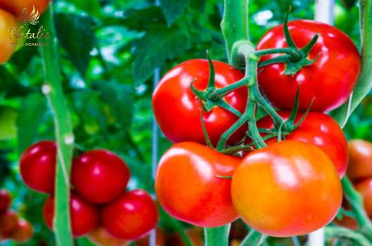 phun-moi-bao-lau-moi-an-uong-binh-thuong-4