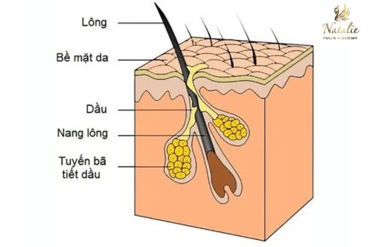 mun-hat-trang-tren-moi-3